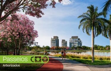 Lançamento, Bairro cidade Flores de Sal-Tijucas/SC