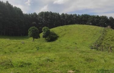 Lançamento Exclusivo, Casas em condomínio fechado em Rancho Queimado